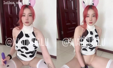 xiaogualu 奶牛服