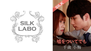 SILKS-120 噓をついてでも 友田彩也香